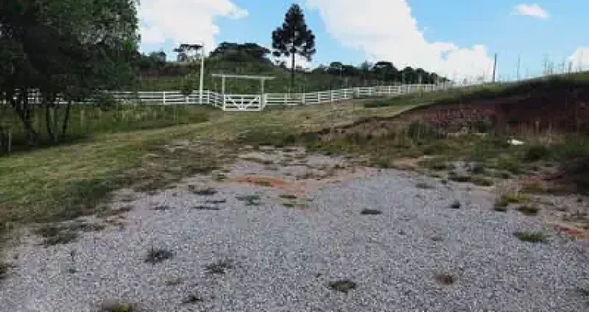 Chácara / sítio à venda em Criúva, Caxias do Sul 