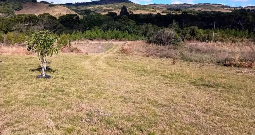 Chácara / sítio à venda em Criúva, Caxias do Sul 