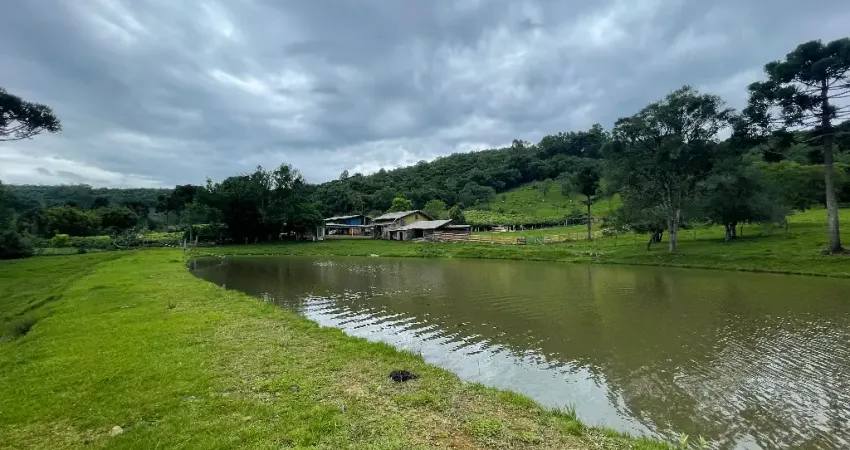 Chácara / sítio com 3 quartos à venda em Criúva, Caxias do Sul 