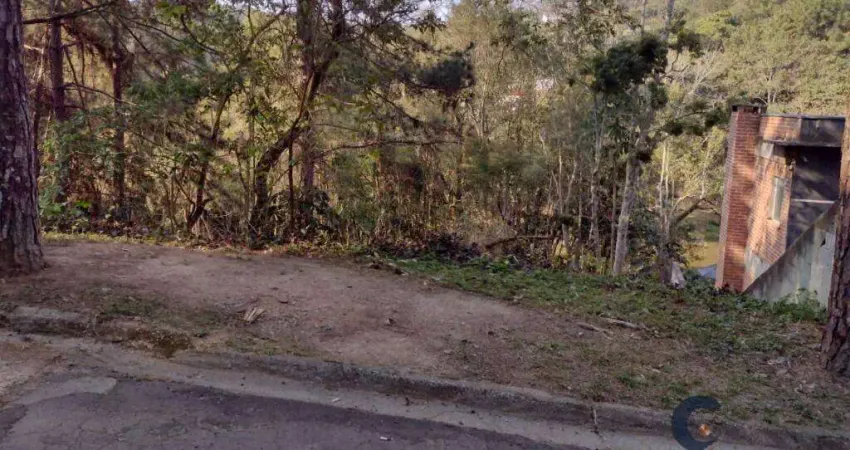Terreno em condomínio fechado à venda na Rua Itapemirim, Granja Carneiro Viana, Cotia