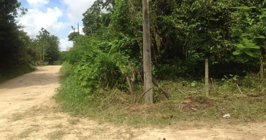 Vendo excelente terreno medindo 30 x 40 totalmente plano, escriturado e registrado.