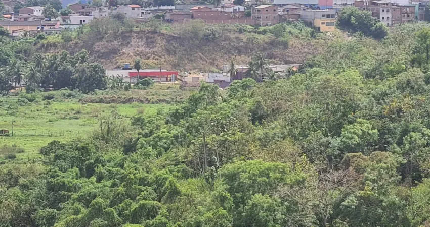 Vendo sitio em paudalho a 10 minutos do centro, propriedade com olho d'gua