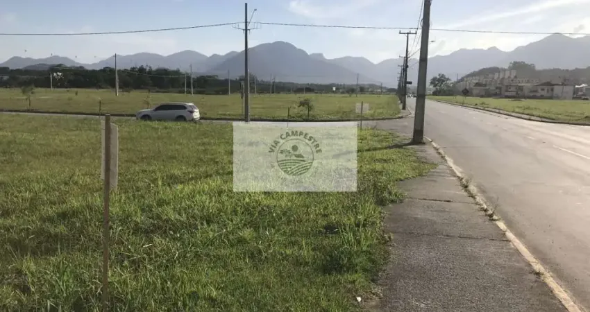 Terreno comercial com 504,00 m² no Vila Nova, frente para a rua São Firmino, poucos metros da Rodovia do Arroz
