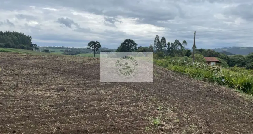 Sítio com 48.000 m², todo limpo, ótimo para plantação, analisa permuta parcial