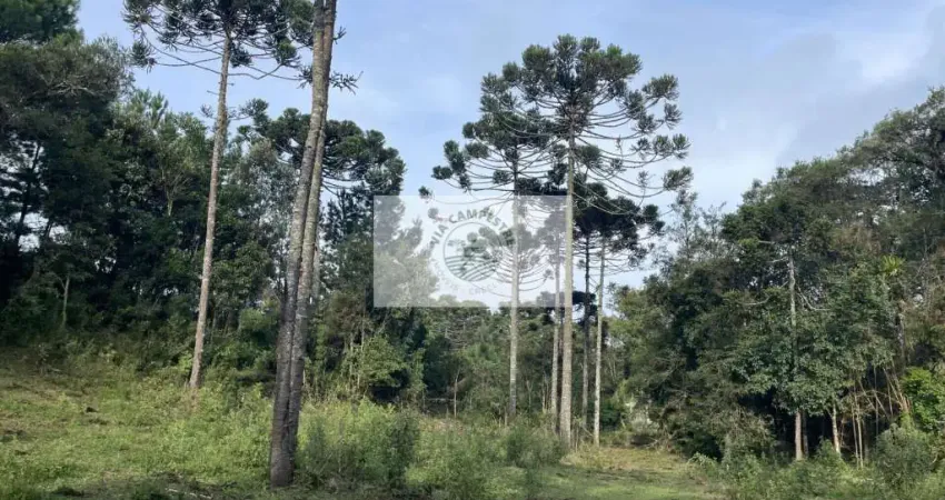 Sítio com 30.000 m², com nascente e riacho, próximo ao Sitio Cambará