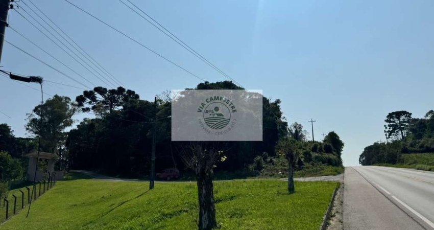 Terreno comercial em Campo Alegre/SC, de frente para a SC 418, para investimento