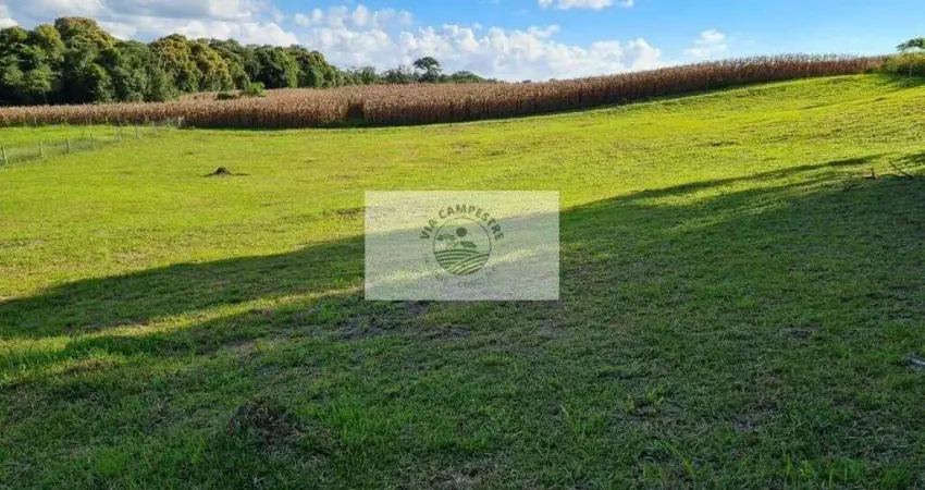 Terreno em condominio fechado, no Lageado, com 3.527 m², escriturado