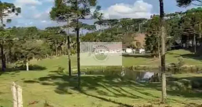 Sítio plano com 1.908 m², com araucarias, lago, apenas 3 km do asfalto, no Saltinho