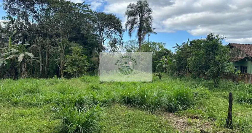 Sítio em pirabeiraba, com 6.000 m2, com riacho, boa parte limpa