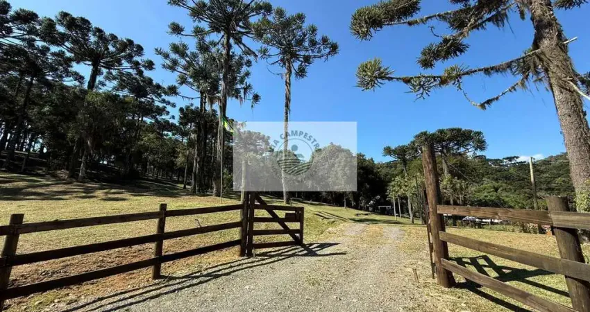 Sítio de 15.194 m2, com chalé novo, riacho, parcialmente cercado, aceita carro ou parcelamento