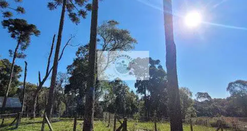 Terreno urbano com 3.215 m², aceita financiamento, terreno plano com araucarias