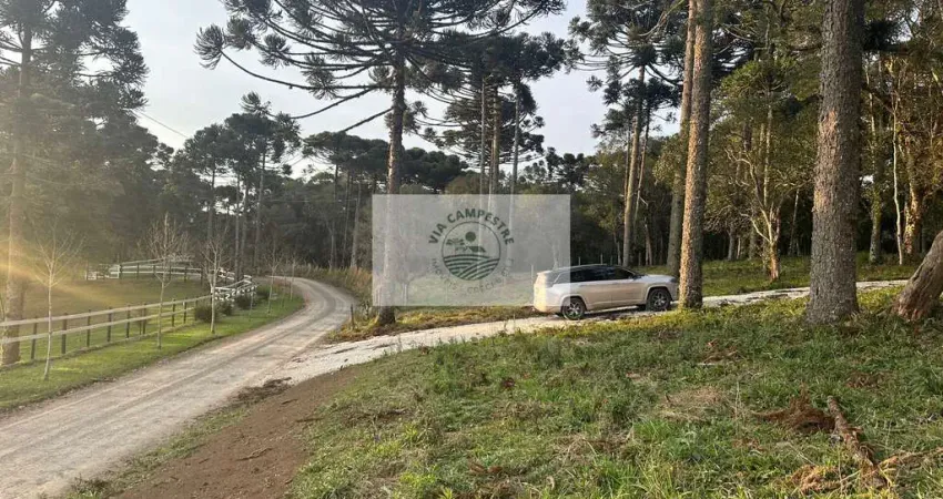 Sítio com 8.310 m², no lajeado, apenas 300 metros do asfalto, aceita financiamento