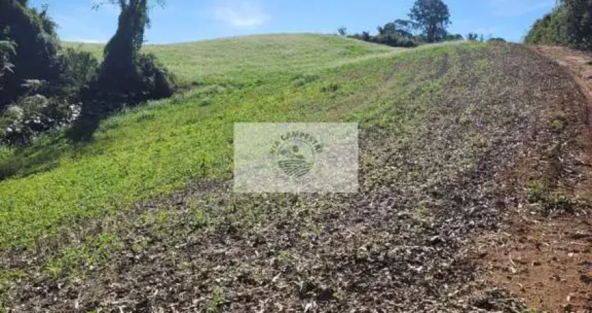 Sítio com 81.949 m², escriturado, aceita permuta, apenas 1.500 metros do asfalto