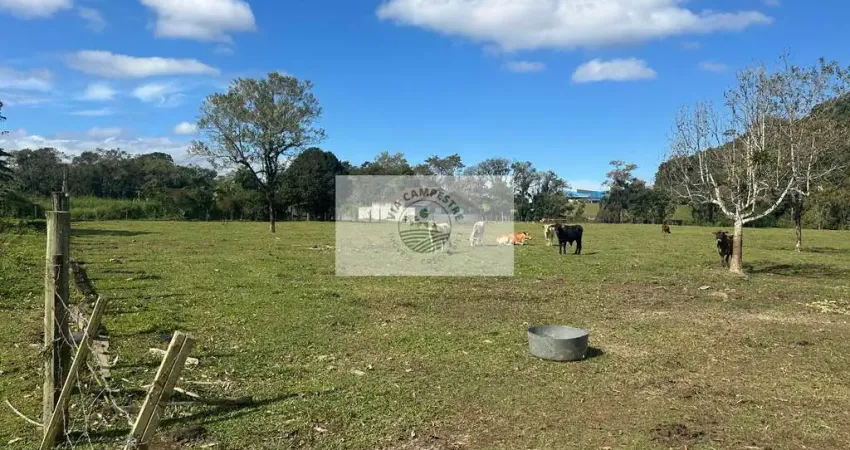 Terreno todo plano, com 15.000 m², fundos para o rio cubatão, apenas 150 metros do asfalto