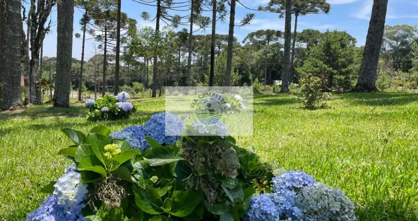 Terreno para sítio com 1.800 m², lugar alto, de esquina, frente para o asfalto