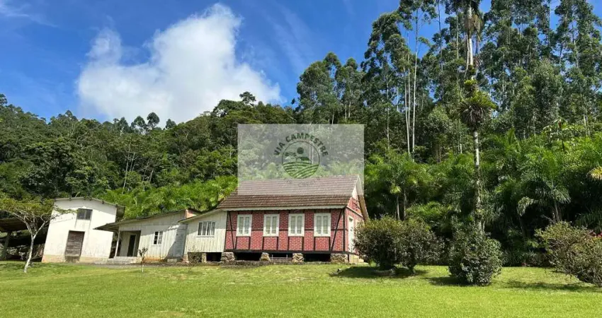 Sítio com 675.970 m², escriturado, com arrozeira, pastagem, bananal e casa, analisa negociação