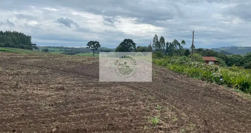 Sítio com 48.000 m², todo limpo, ótimo para plantação, analisa permuta parcial