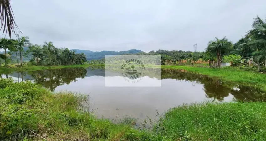 Area rural com 352.500 m² na rodovia do arroz, excelente oportunidade!!