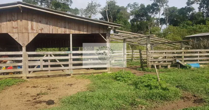 Chácara / sítio com 3 quartos à venda no Centro, Campo Alegre 