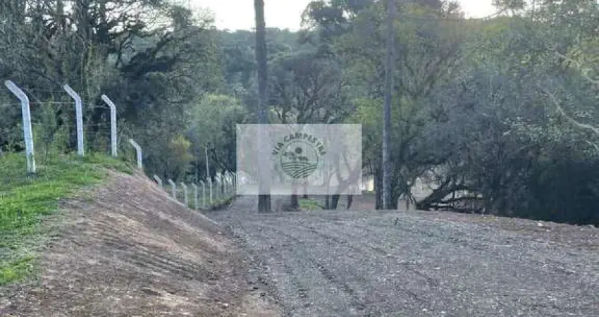 Sítio com 5.200 m², bateias de baixo, com lago e araucárias, frente para rua pavimentada, escriturado