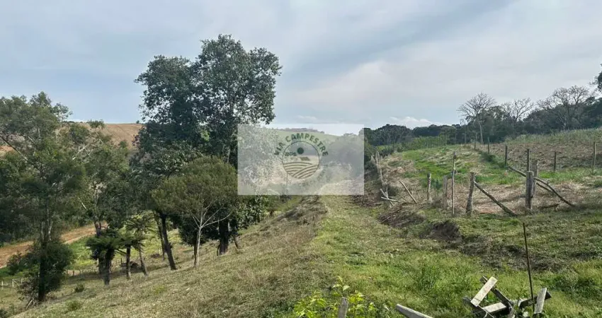 Sítio com 40.800 m² em campo alegre, com lago, pastagem, plantação, casa, toda cercada