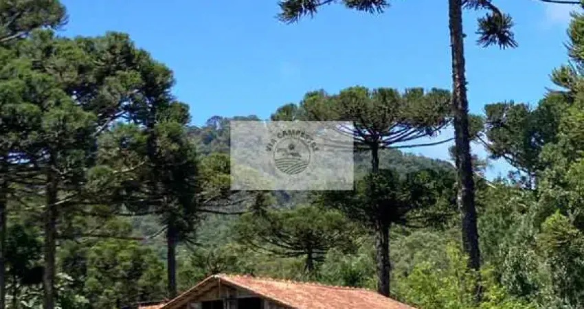 Sítio em campo alegre com 35.000 m², residencia rustica, terreno levemente ondulado, todo cercado