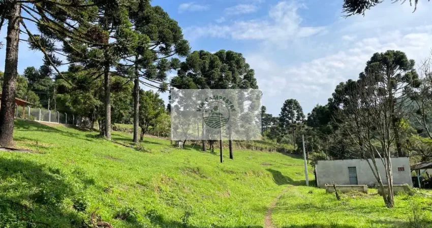 Sítio com 6.245,00 m², belas araucárias, lugar alto, com uma casa para reformar, documentado