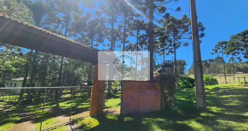 Sítio com 17.000 m², com casa de material e casa de madeira, escriturada, com rio, em campo alegre