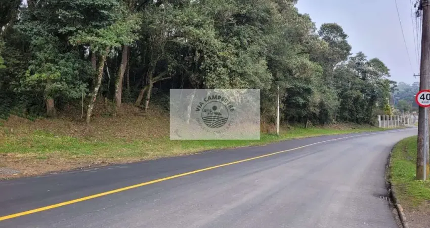 Chácara / sítio com 1 quarto à venda no Centenário, São Bento do Sul