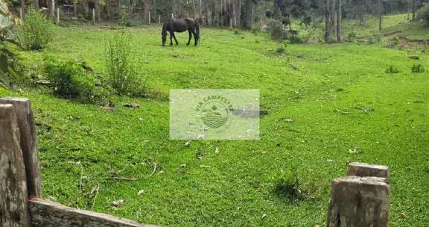 Sítio com 85.107 m², escriturado, frente para o asfalto, com casa e galpão, região de são miguel
