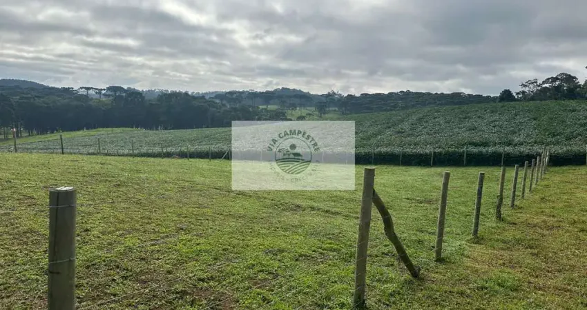 Terreno para sitio com 2.700 m², região do Saltinho, todo cercado, com linda vista
