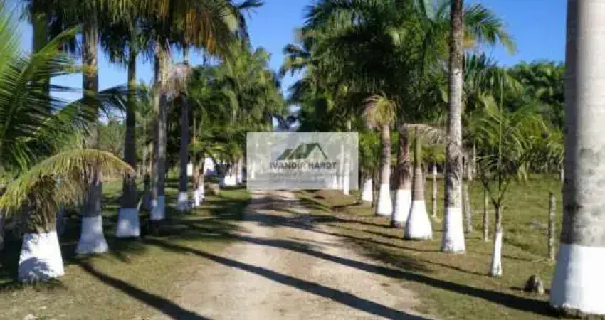 Sítio com 185.000 m², todo escriturado, pastagem formada, todo cercado, aceita permuta, em Pirabeiraba