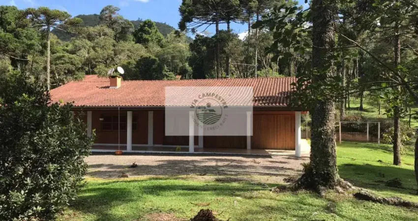 Chácara em campo alegre com ampla residência com 3 suítes, mais casa de hospedes, ranchos, riacho
