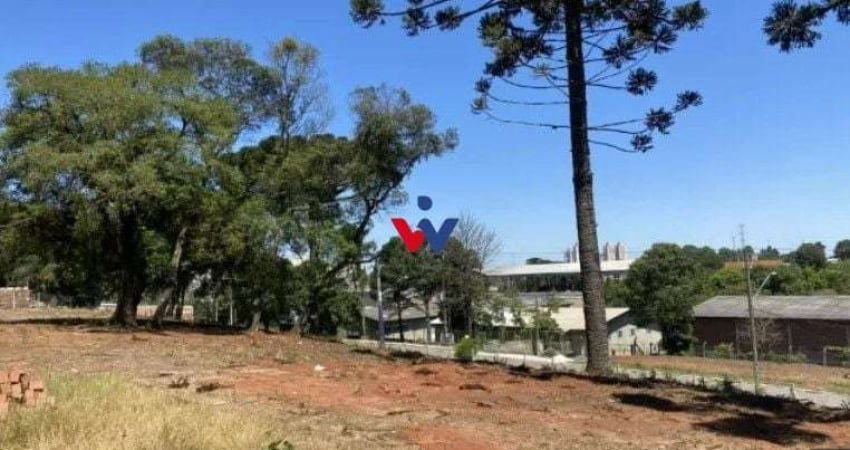 Terreno Comercial 2.000m  | R 1.700.000,00 | Localização Estratégica na CIC BR-277