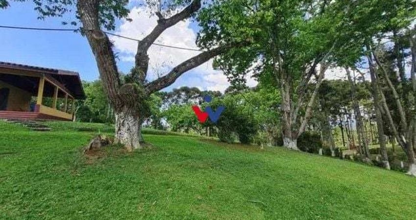 Sítio com 6 dormitórios à venda,144.000,00 m2, palmitalzinho, QUATRO BARRAS - PR