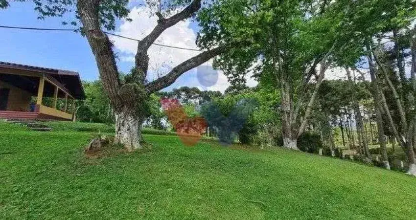 Sítio em Quatro Barras 150.000 m com casas, pomar, campo e mata nativa