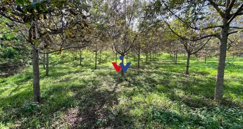 Chácara com 1 dormitório à venda,47270.00 m , zona rural, QUITANDINHA - PR