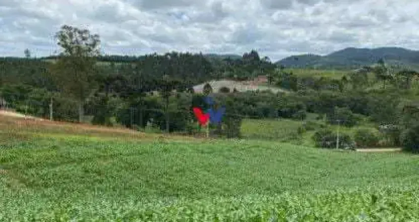Chácara à venda, 94682 m  por R  1.350.000,00 - Zona Rural - Tijucas do Sul PR