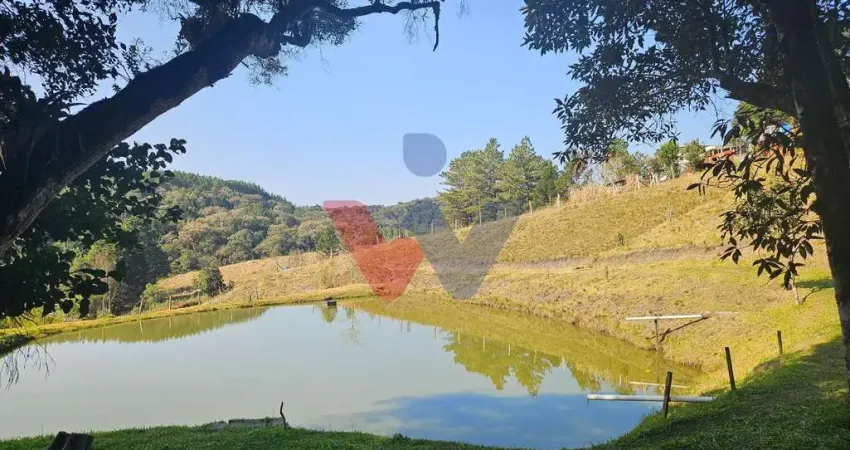 Linda Chácara 24.870 m à Venda em São José dos Pinhais Piscina e Tanque de Peixes