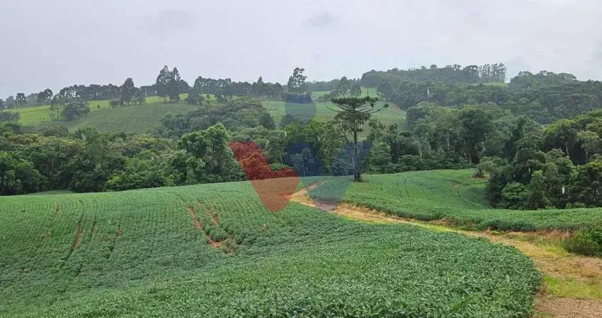 Área de 79.000 m com 41.000 m mecanizados perfeita para cultivo ou projetos sustentáveis