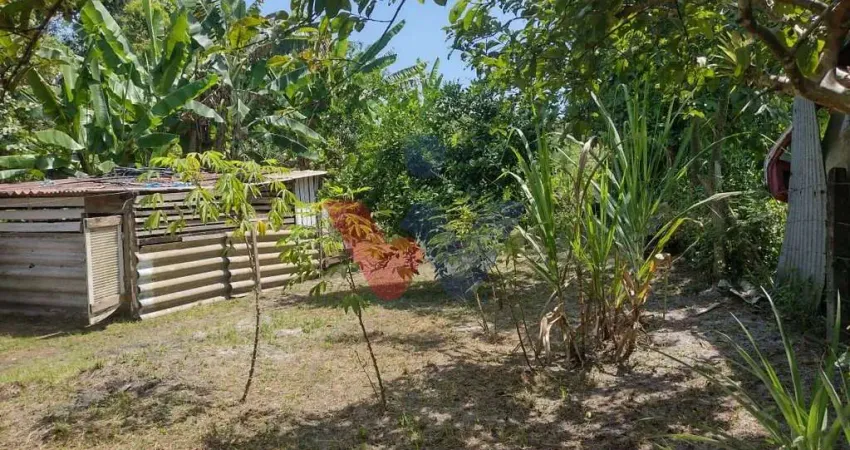 Chácara em Alexandra, Paranaguá, Casa, Tanques de Peixe e Alto Potencial de Investimento