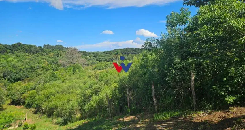 Chácara à venda, 7000 m  por R  255.000,00 - Zona Rural - Contenda PR