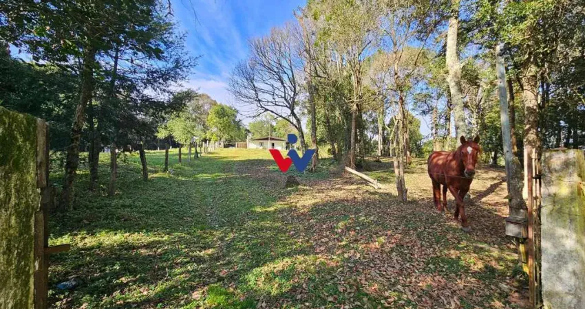 Chácara Completa em Araucária  23816 m  ,com Casa Ampla, Frutas, Pasto e Porteira Fechada