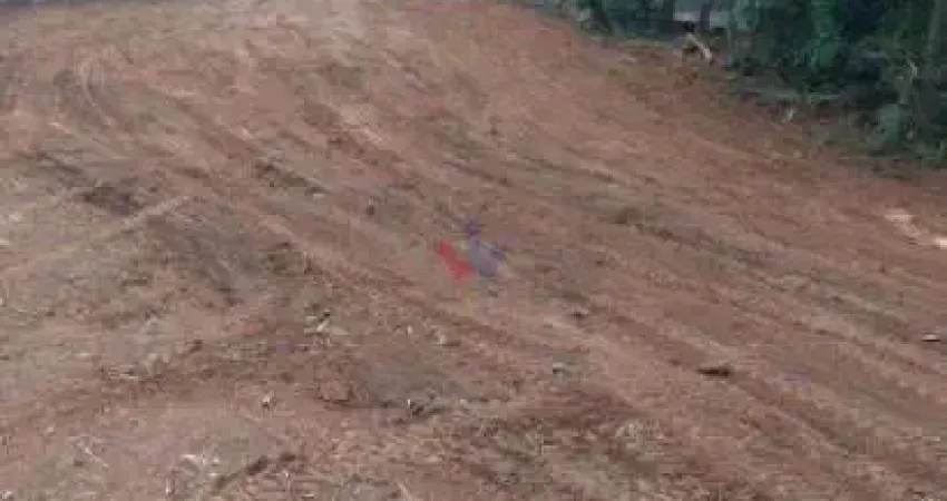 Terreno premium no bairro costeira com potencial para 180 apartamentos