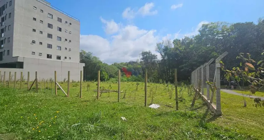 Terreno zr-3,1 com 2.544 m no boa vista localização estratégica para grandes projetos