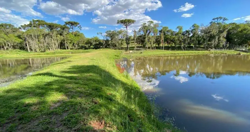 Chácara com 29.328,08m , com 2 casas, 4 tanques de peixes, em catanduvas do sul, contenda-pr