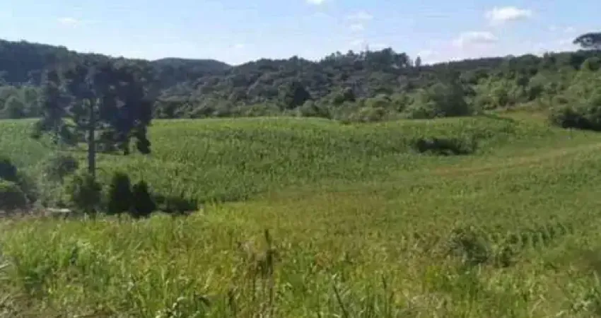 Terreno para chácara em mandirituba 6.050 m próximo à br-116