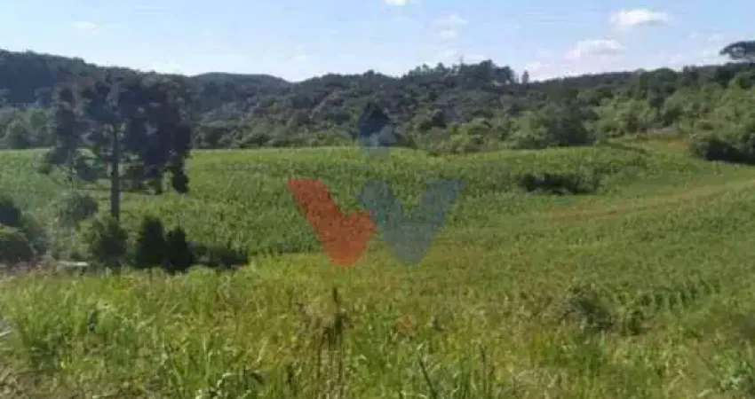 Terreno para Chácara em Mandirituba 6.050 m Próximo à BR-116