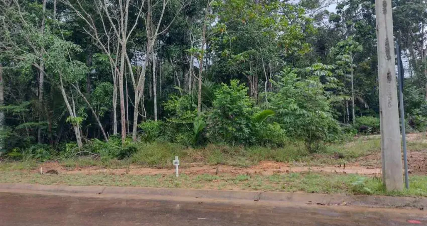 Lote à venda, no Condomínio Vivendas das Marinas,  em Manaus, Ponta Negra, 250m²