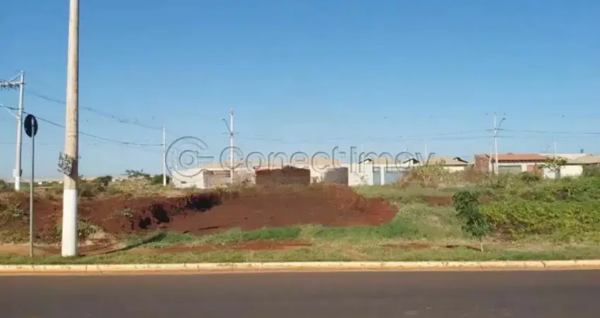 Terreno de 240m² disponível para locação - cristo redentor.